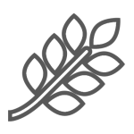 getekend takje met bladeren